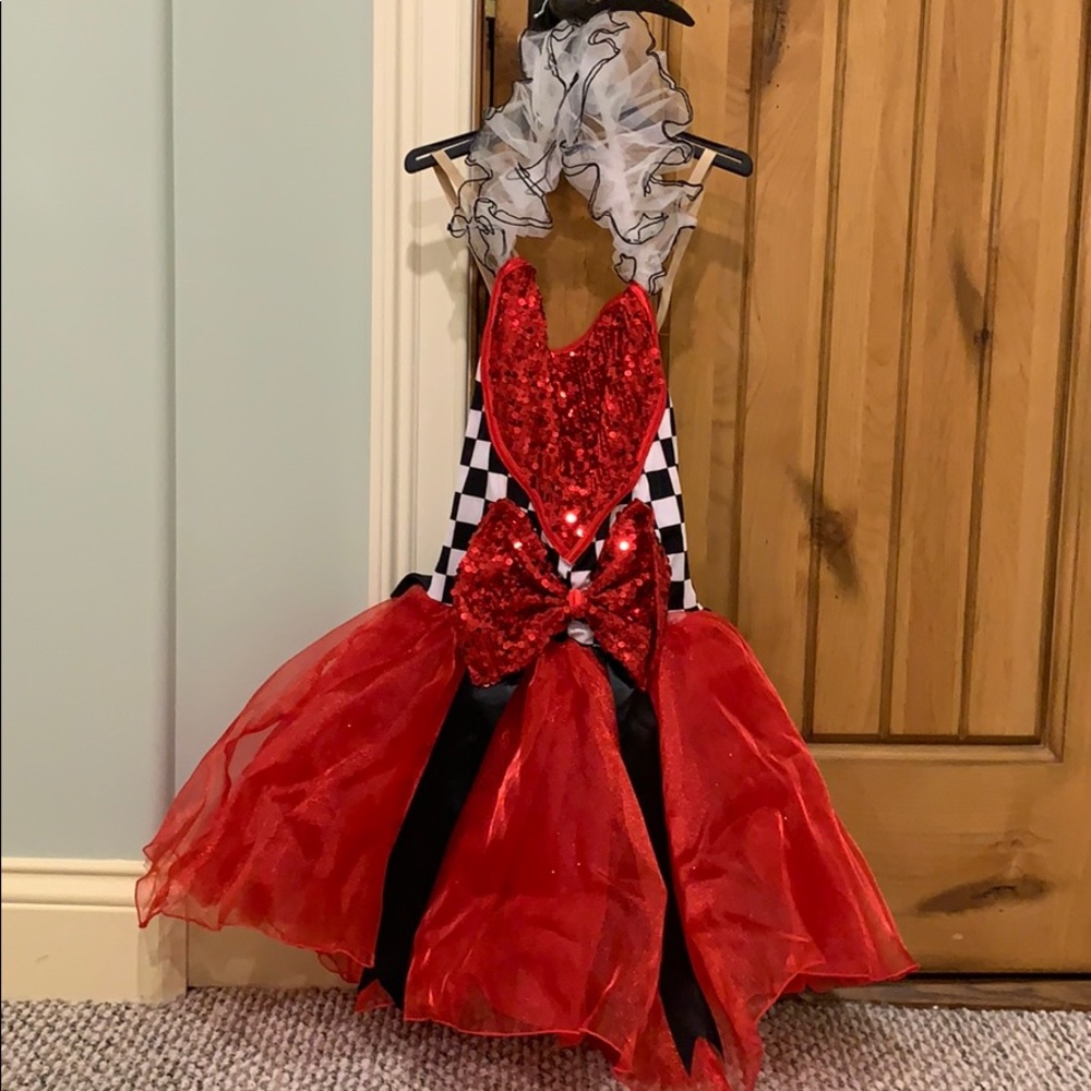 ballet/ halloween costume! brand new!